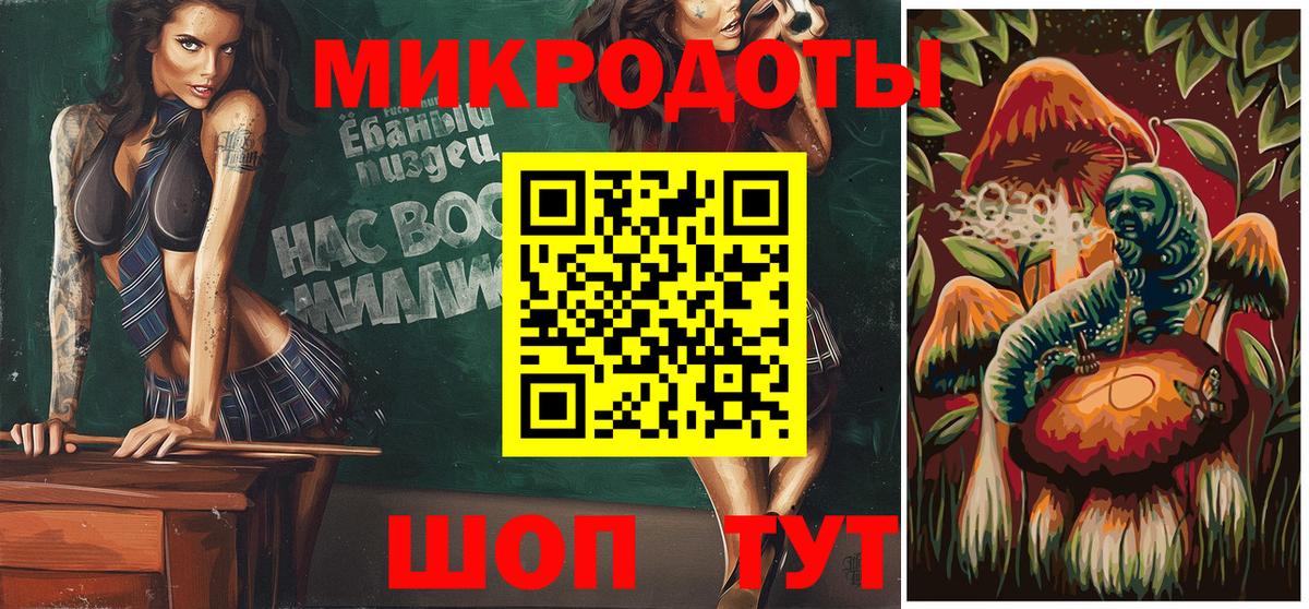 Псилоцибиновые грибы Psilocybine cubensis Канск