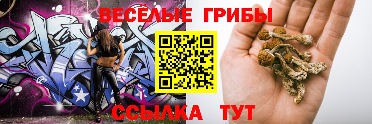 Канск  Псилоцибиновые грибы прущие грибы  Вход с VPN 
